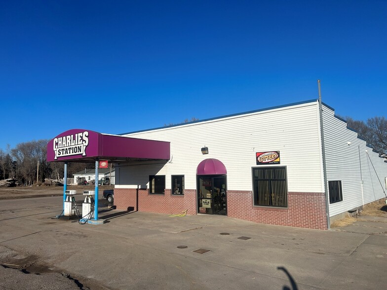 Primary Photo Of 1734 Highway 11, Elba Convenience Store For Sale