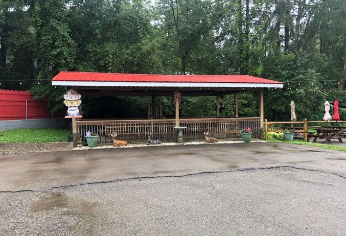 More Photos Of 219 Broad St, Salamanca Restaurant For Lease