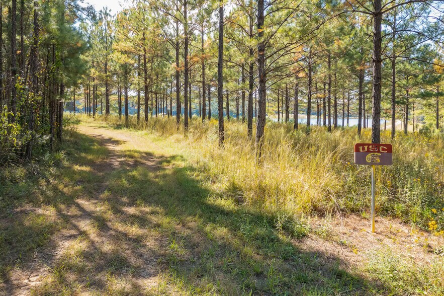 More Photos Of 18618 Hwy 43, Linden Land For Sale