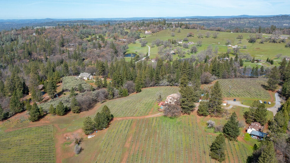More Photos Of 4771 Greenhills Rd, Placerville Winery Vineyard For Sale