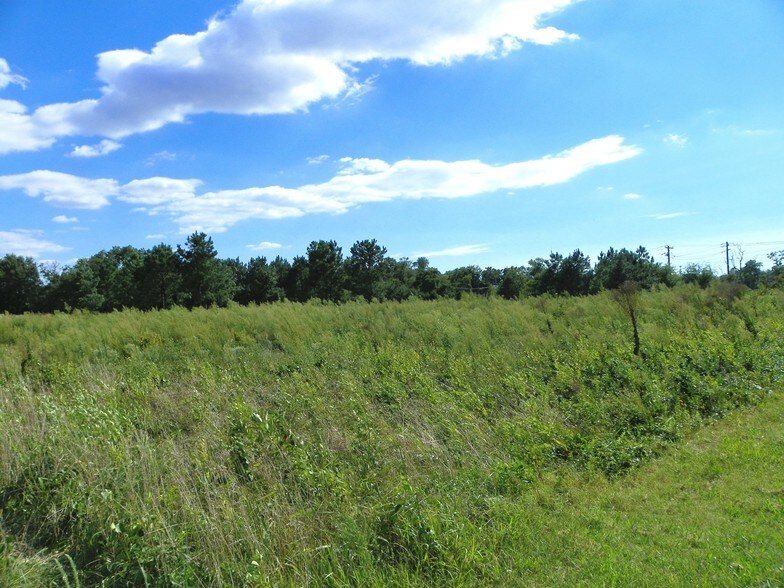 More Photos Of John J Williams Hwy, Millsboro Land For Sale