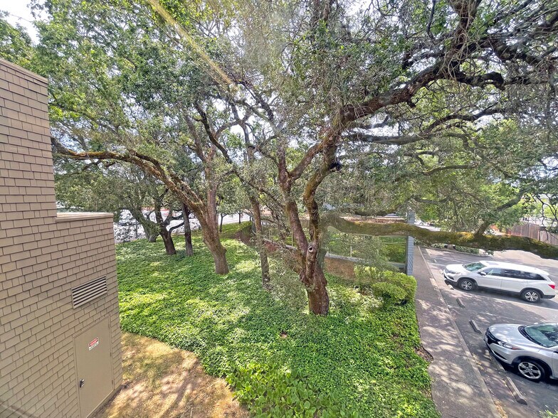 More Photos Of 2421 Mendocino Ave, Santa Rosa Office Residential For Lease