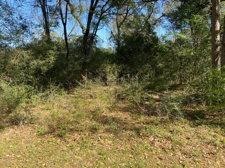 More Photos Of 24030 Hegar Rd, Hockley Land For Sale