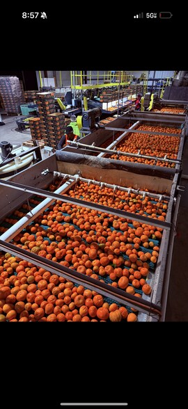 More Photos Of 8507 Rd 256, Terra Bella Food Processing For Sale