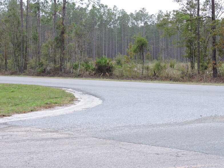 More Photos Of 3750A County Road 315A, Green Cove Springs Land For Sale