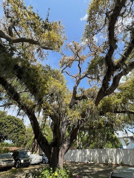More Photos Of 3701 S Osprey Ave, Sarasota Office For Lease