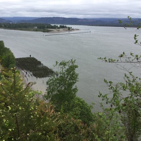 More Photos Of 93893 Clifton Rd, Westport Land For Lease