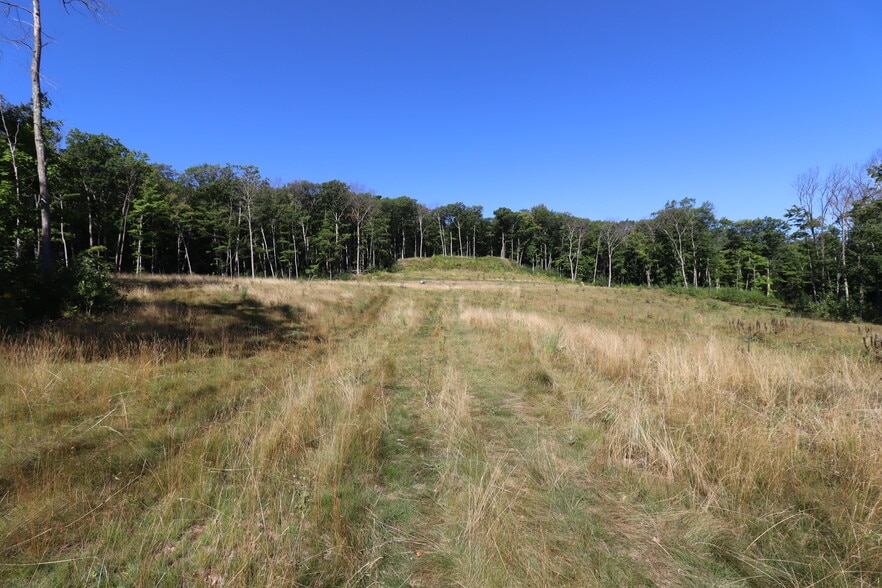 More Photos Of 35480 Whitetail Ave, Bayfield Land For Sale