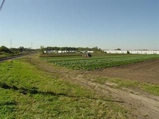 More Photos Of 18434 Stony Island Ave, Lansing Land For Sale