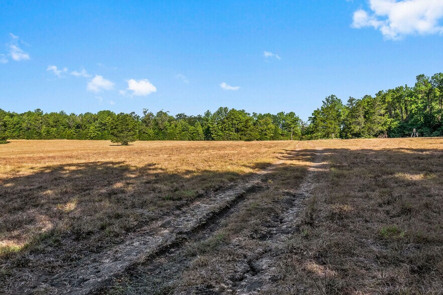 More Photos Of 15863 Rogers, Willis Land For Sale