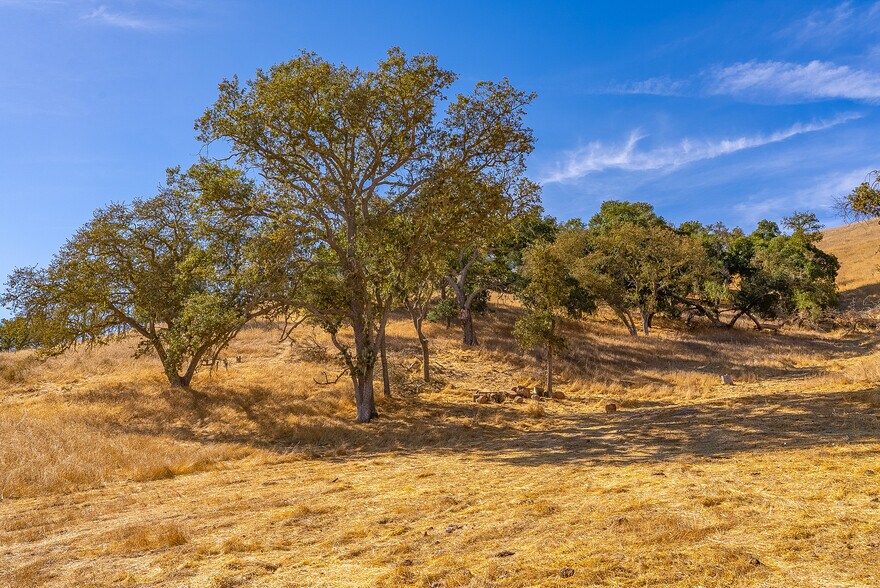 More Photos Of 0 E. 41 Hwy, Templeton Land For Sale