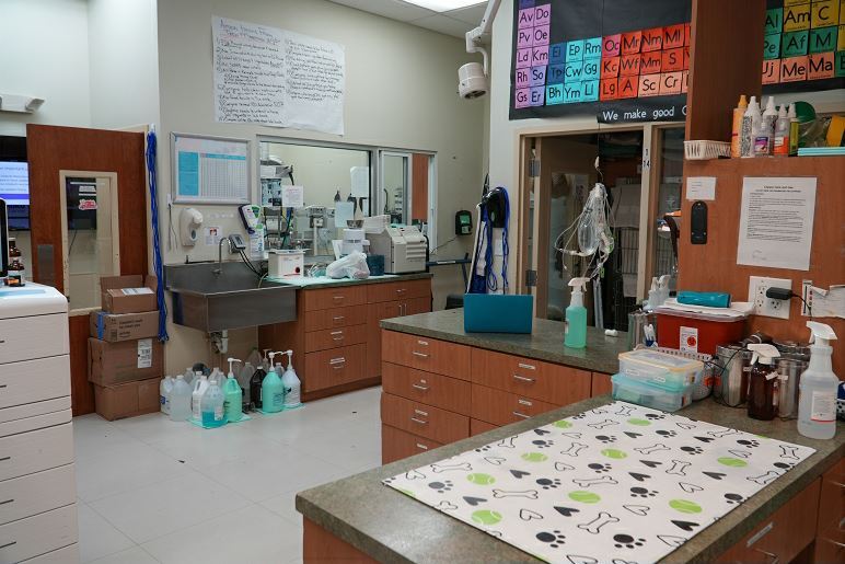 More Photos Of 9400 NW 58th St, Miami Veterinarian Kennel For Lease