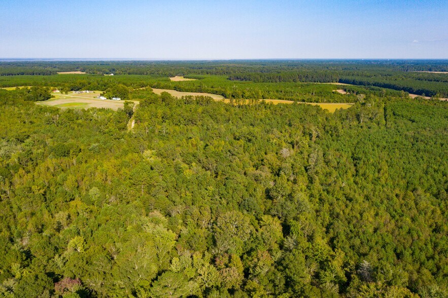 More Photos Of 0 Half Acre Ct, Vance Land For Sale