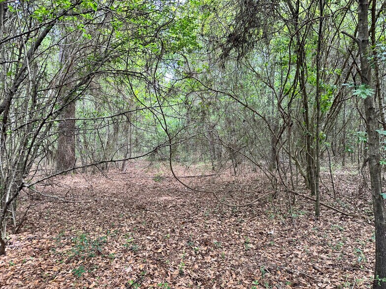 More Photos Of 0 Wilmer, Wilmer Land For Sale