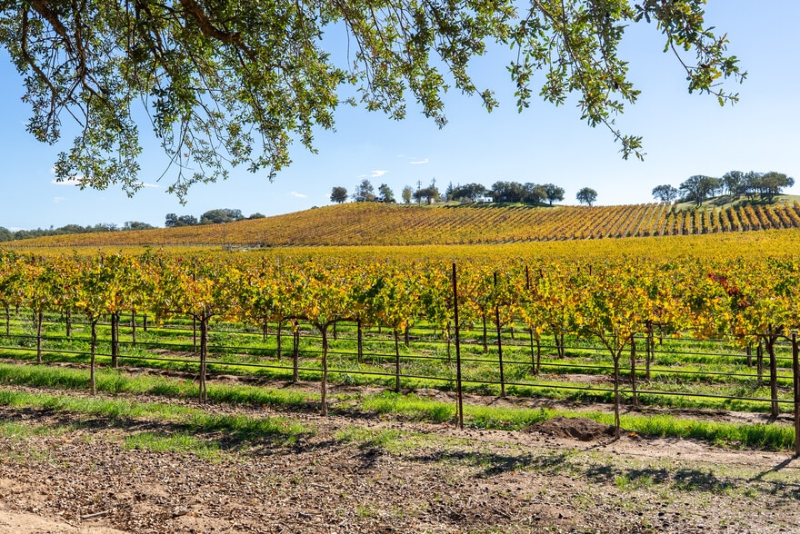 More Photos Of 7790 Airport Rd, Paso Robles Land For Sale