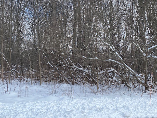 More Photos Of 0 Crescent Dr, Wheatfield Township Land For Sale