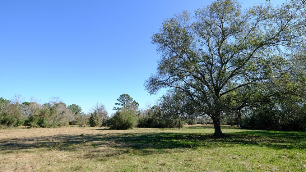 More Photos Of 26266 Fields Store Rd., Waller Land For Sale