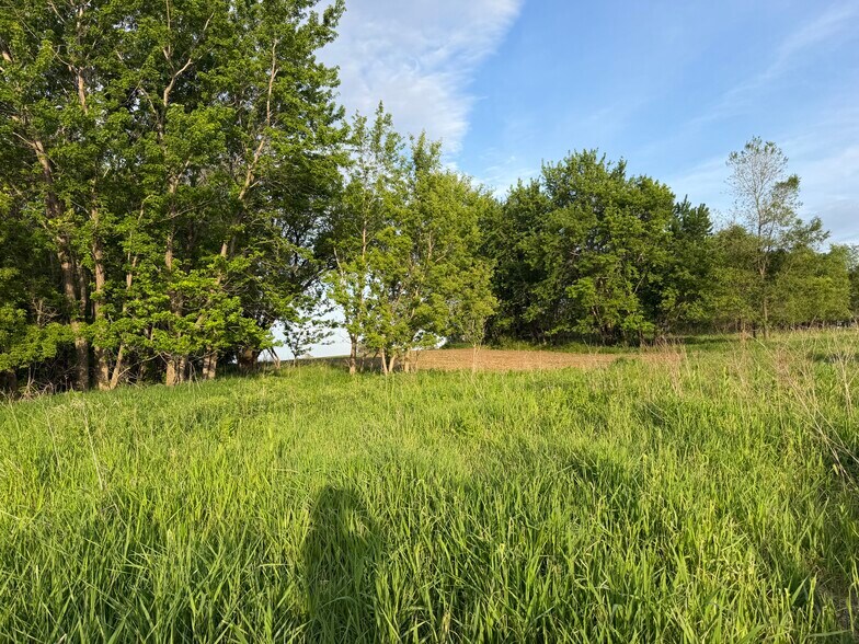 More Photos Of TBD 31st NW Ave @ HWY 52/75th Street NW, Oronoco Land For Sale