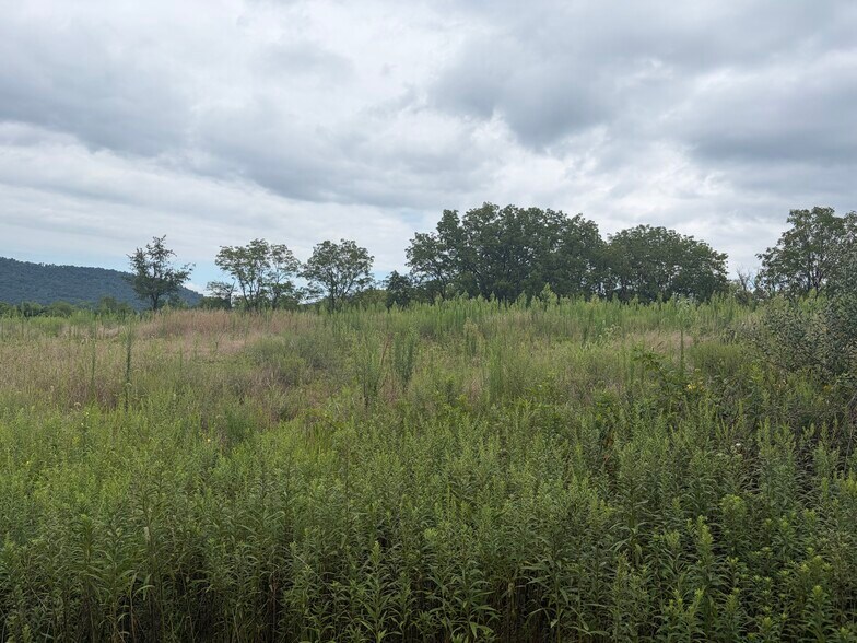 More Photos Of 69 Fisher Avenue ave, Jonestown Land For Sale