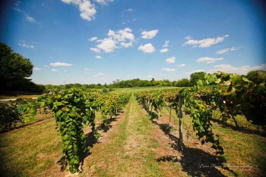 More Photos Of 25043 Jacobs Rd, Guilford Winery Vineyard For Lease