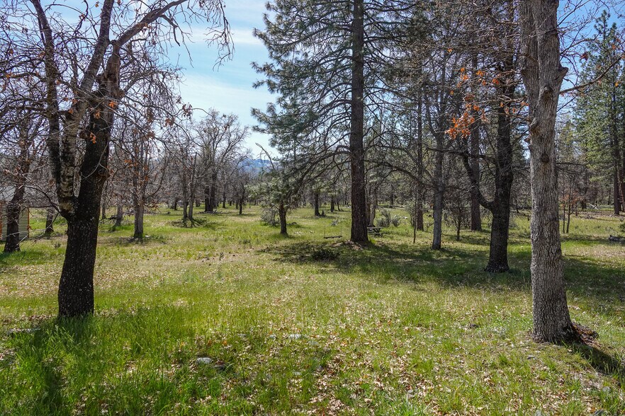 More Photos Of 2003 Kidder Creek Rd, Greenview Land For Sale