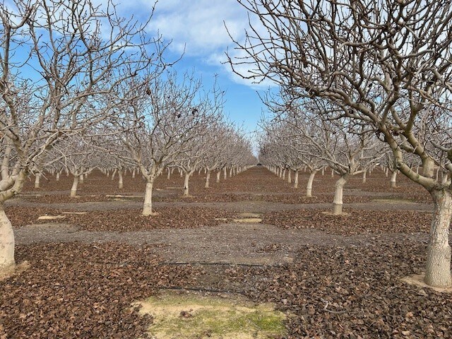 More Photos Of Bassett Ave, Delano Land For Sale