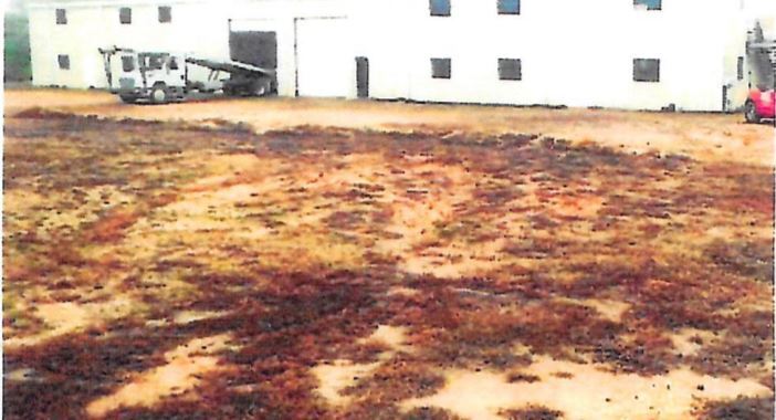 More Photos Of 1051 Lee Road 379, Smiths Station Land For Sale