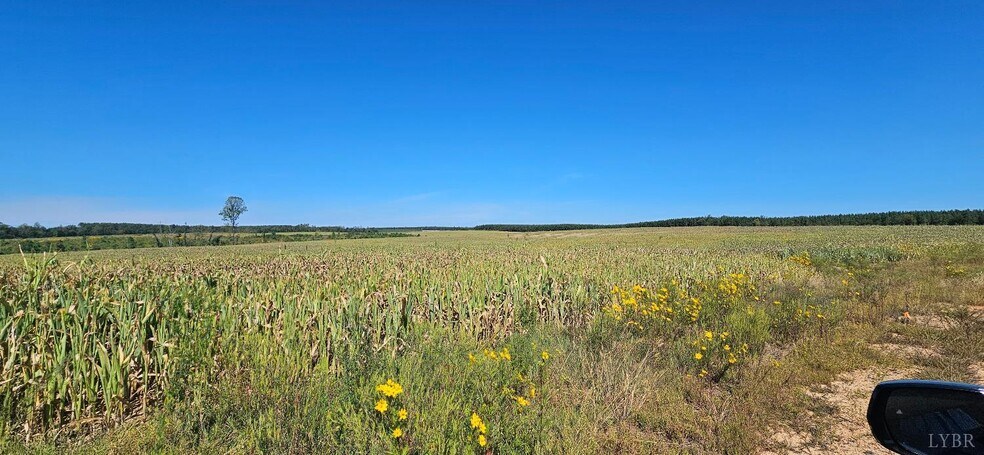 More Photos Of Glenmore Road, Scottsville Land For Sale