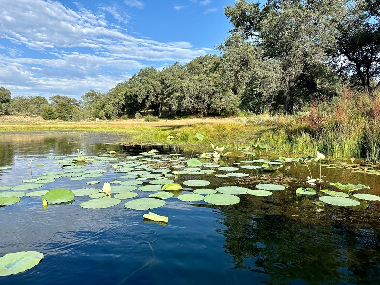 More Photos Of 25258 Mesa Grande Rd, Santa Ysabel Land For Sale