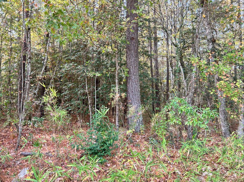 More Photos Of 2224 Governors rd, Windsor Land For Sale