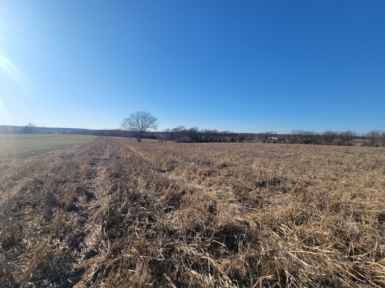 More Photos Of 171 Windy Hill Rd. (20+/- Acres), Elsberry Land For Sale