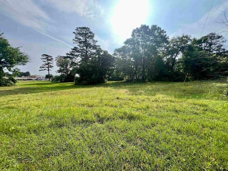 More Photos Of 101 Texas 300, Gilmer Land For Sale