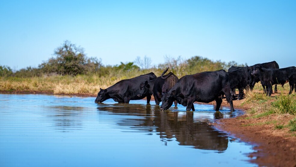 More Photos Of TBD Hwy 71, Fredonia Land For Sale