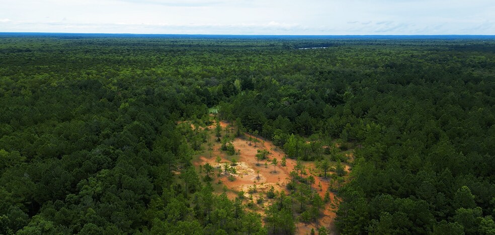 More Photos Of 2250 Sam Royal Rd, Axis Land For Sale