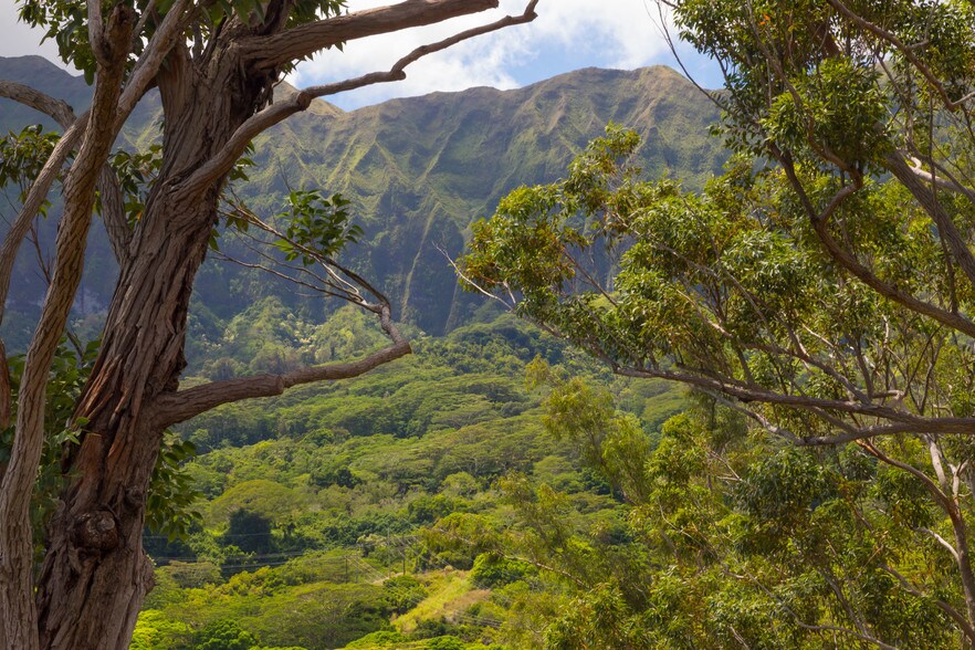 More Photos Of Lopaka Way, Kailua Land For Sale