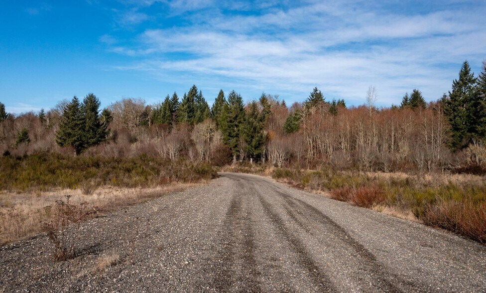 More Photos Of 13120 Tilley Rd S, Olympia Land For Sale