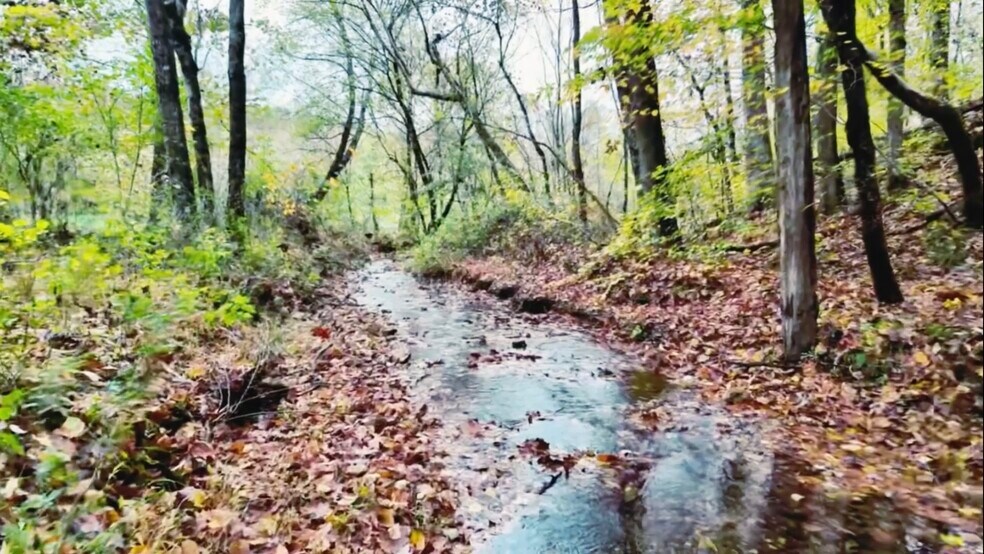 More Photos Of 700 New Power House rd, Lawrenceburg Land For Sale