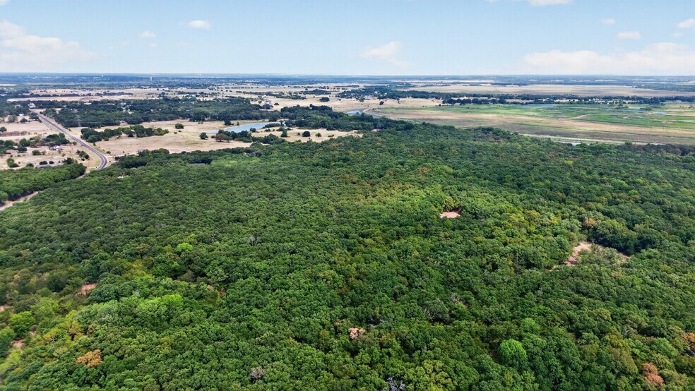 More Photos Of FM Road 1389, Combine Land For Sale