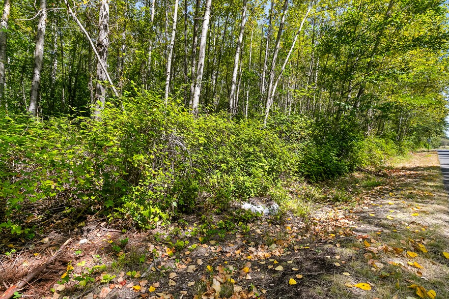 More Photos Of 115-155 Tremont Ave, Bellingham Land For Sale