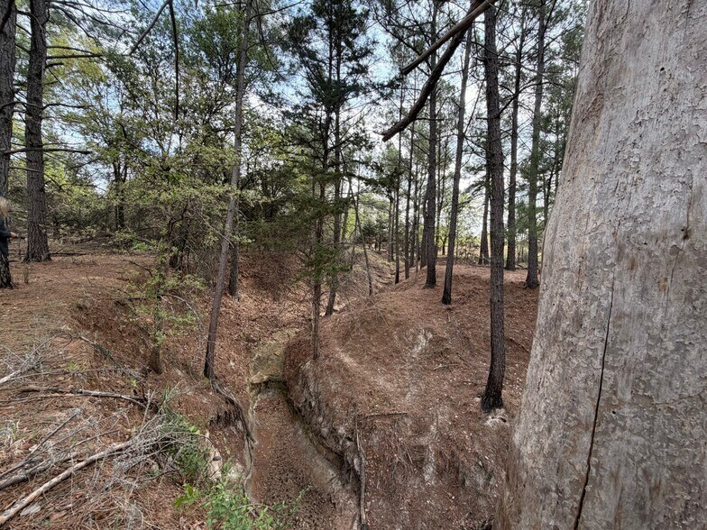 More Photos Of 2548 County Road 2690, Alvord Land For Sale