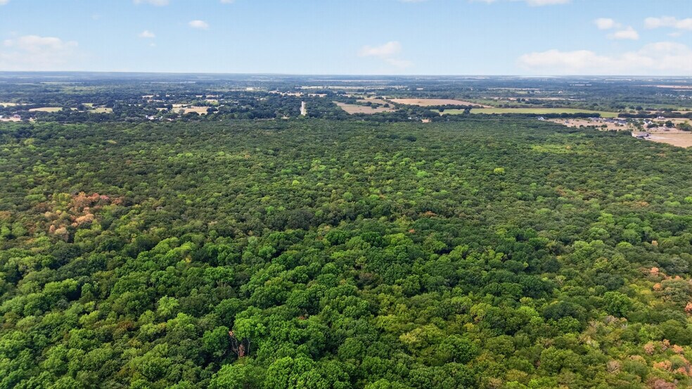 More Photos Of FM Road 1389, Combine Land For Sale