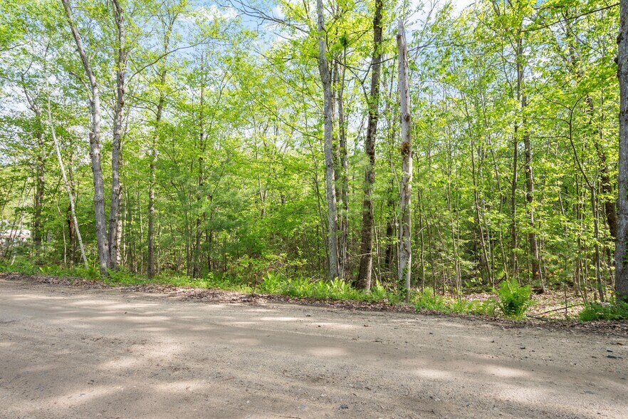 Primary Photo Of 0 Whitney rd, Ashby Land For Sale