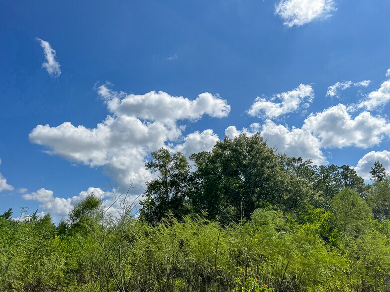 More Photos Of FM 1010 @ Loop 105, Cleveland Land For Sale