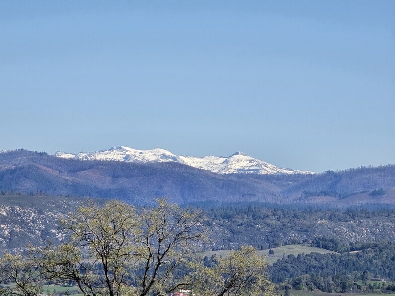 More Photos Of 6781 Tower, Somerset Winery Vineyard For Sale