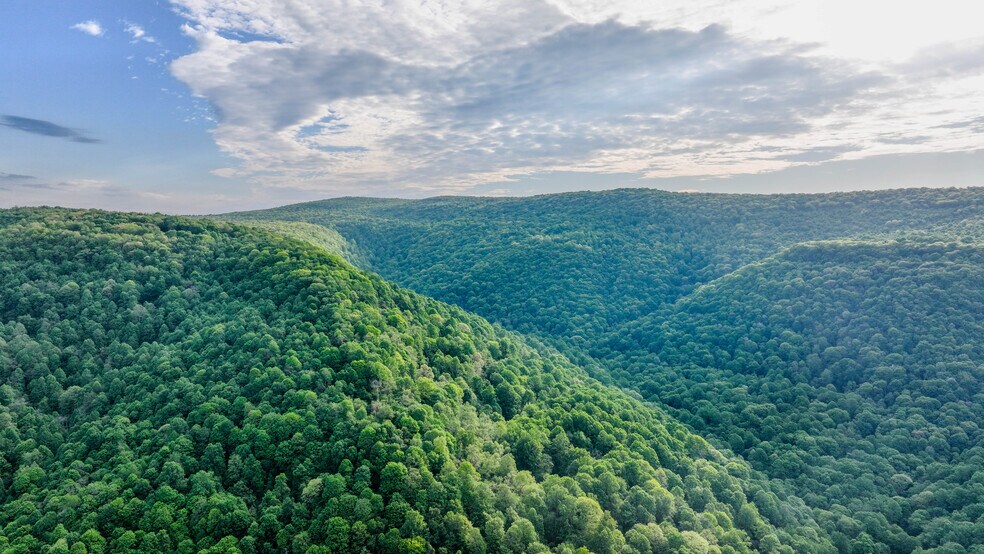 More Photos Of 0 Bidwell Rd, Mill Run Land For Sale