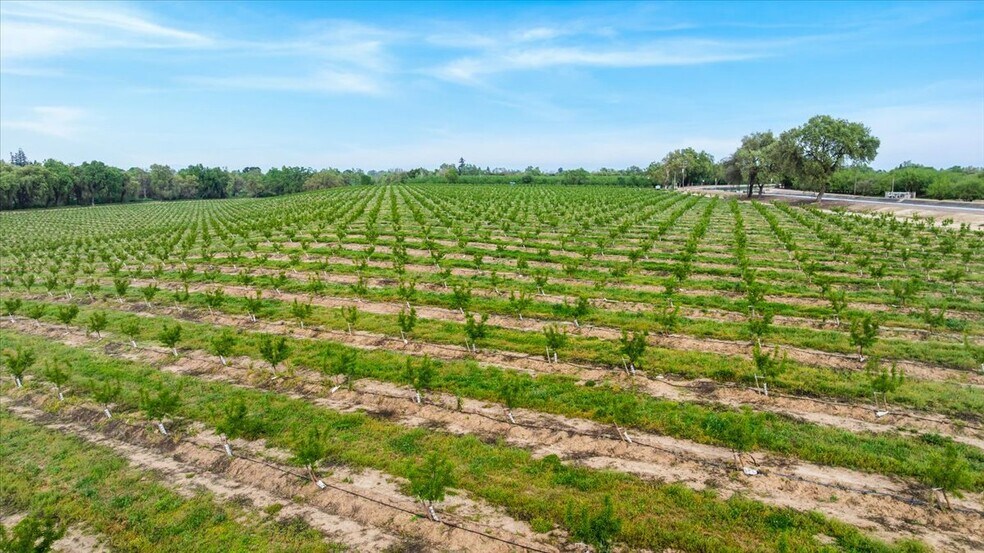 More Photos Of Albers Rd, Modesto Land For Sale