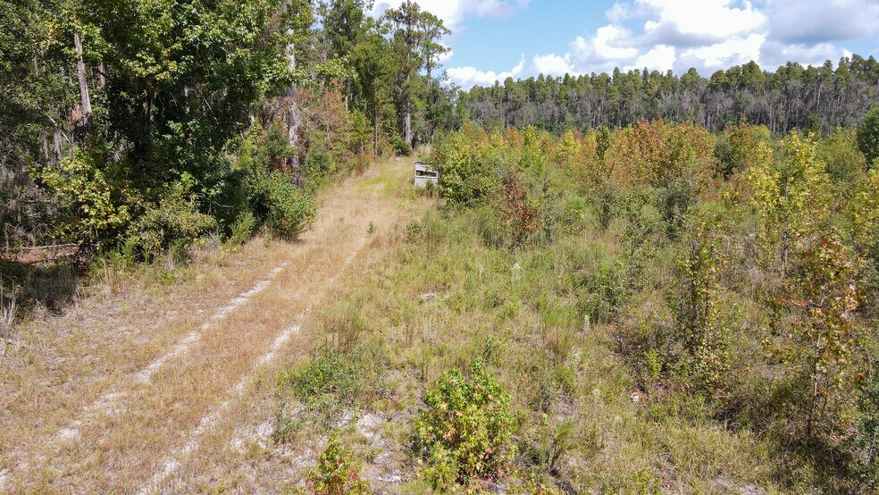 More Photos Of TBD NE 36th Drive Dr, Jasper Land For Sale