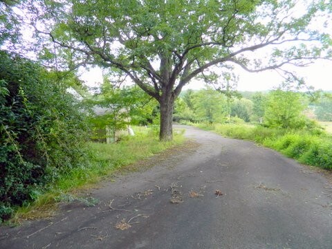 More Photos Of 1744 Route 611, Mount Pocono Land For Sale