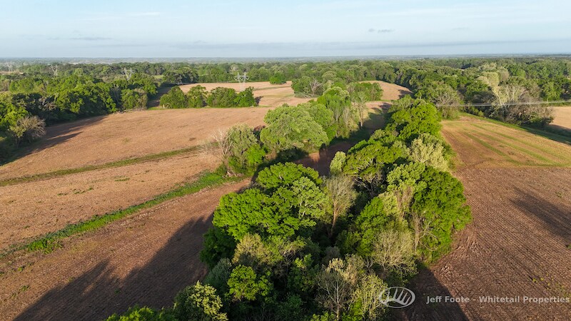 More Photos Of TBD Virlilia Rd, Canton Land For Sale