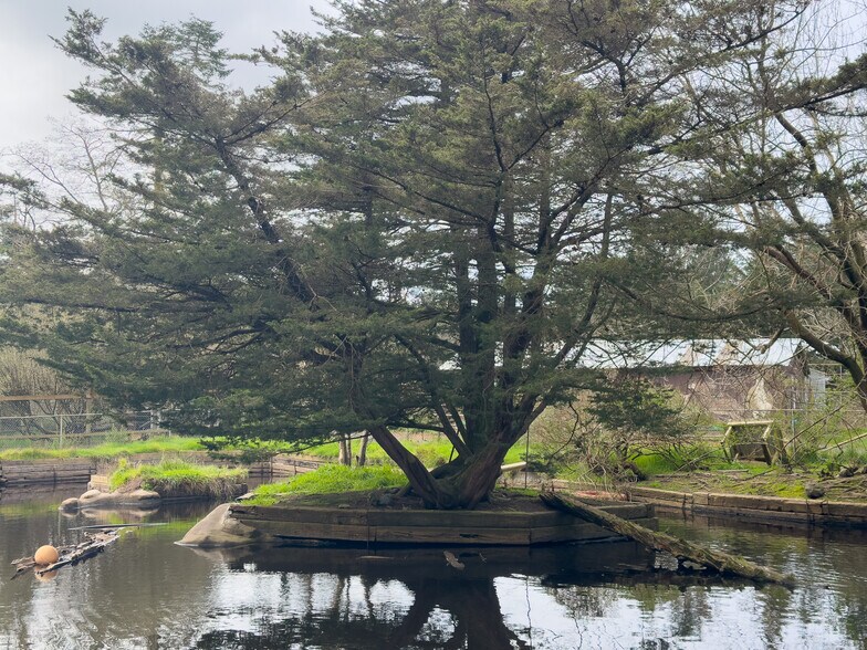 More Photos Of 46914 US-101, Bandon General Retail For Sale